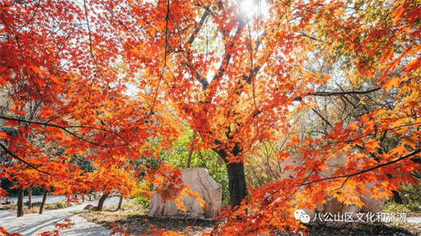【圖說(shuō)淮南】——八公山風(fēng)景區這個(gè)地方紅了！