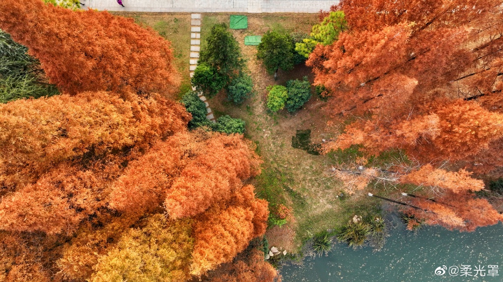【圖說(shuō)淮南】——淮南龍湖公園的冬天是什么顏色的呢？