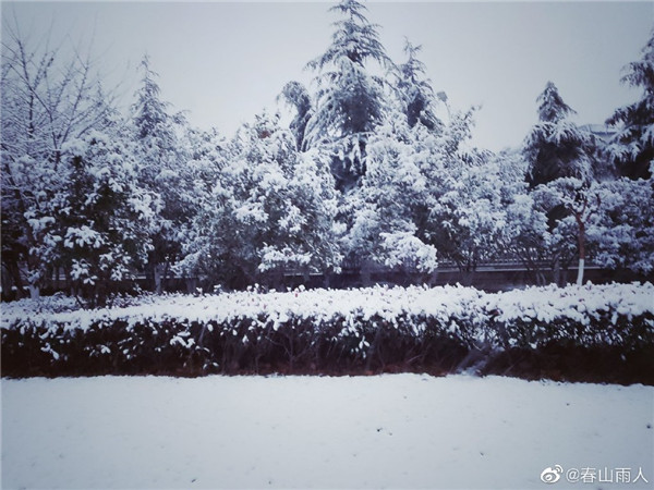 【圖說(shuō)淮南】——2022年淮南第一場(chǎng)雪！來(lái)的遲嗎？