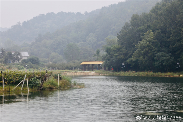 【圖說(shuō)淮南】——秋霧 