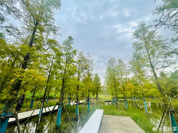 【圖說(shuō)淮南】——秋色宜人 