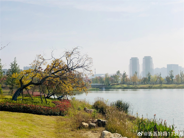 【圖說(shuō)淮南】——秋日陽(yáng)光  ???