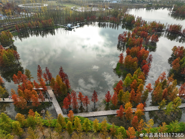 【圖說(shuō)淮南】&mdash;&mdash;彩色的秋  ??