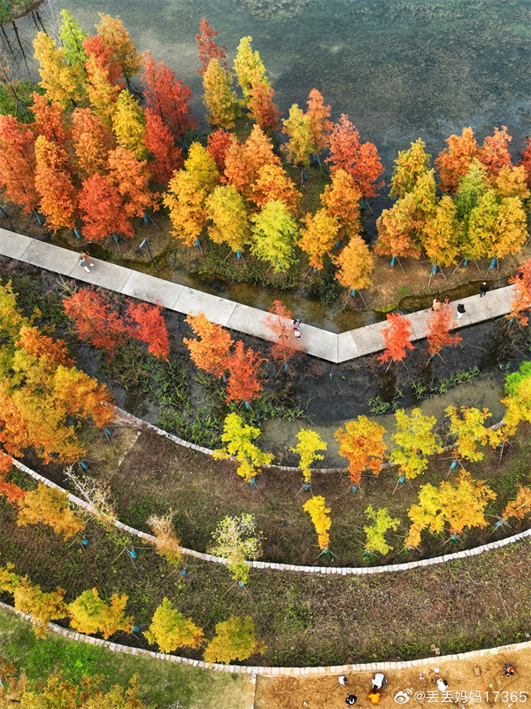【圖說(shuō)淮南】&mdash;&mdash;秋色未盡