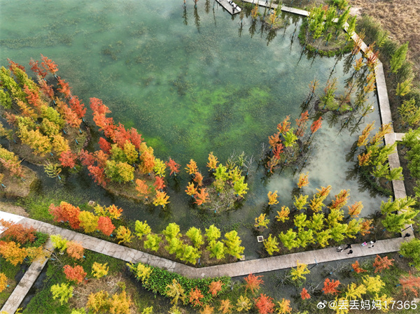 【圖說(shuō)淮南】&mdash;&mdash;色彩斑瀾  ???