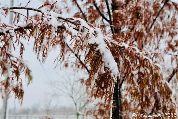 【圖說(shuō)淮南】&mdash;&mdash;今日小寒 