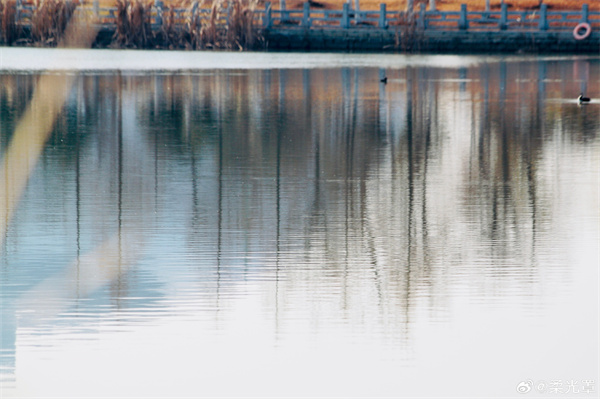 【圖說(shuō)淮南】&mdash;&mdash;分行接綺樹(shù)，倒影入清漪。 